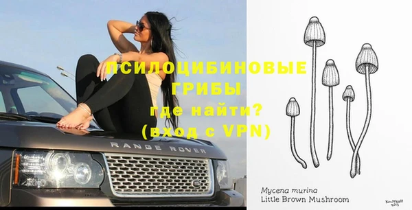 тгк Абинск